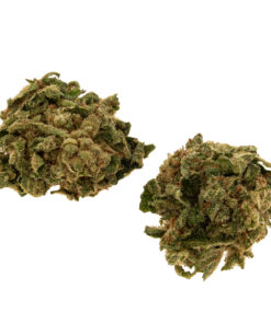 cbd-gras-sour-lemon-EU-bud_web