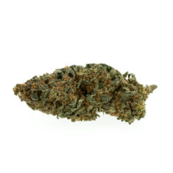 grass-cbd-premium-mango-kush_web